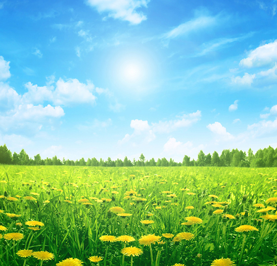 環(huán)境觀察：確保環(huán)保督察有力有序有效