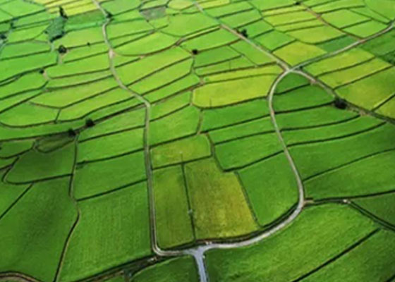 環(huán)保“按日計(jì)罰”罰到違法企業(yè)心疼