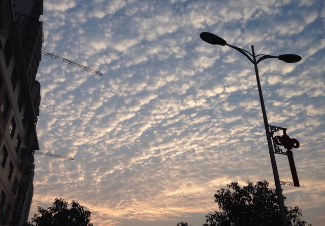 供暖首月 青島空氣質(zhì)量為近5年來同期最好